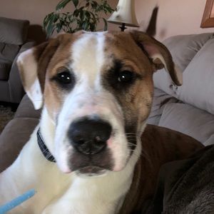 Meet your Posher, Nina